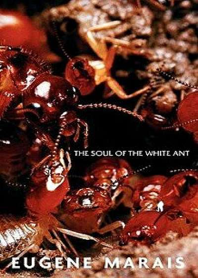 The Soul of the White Ant, Paperback/Eugene N. Marais