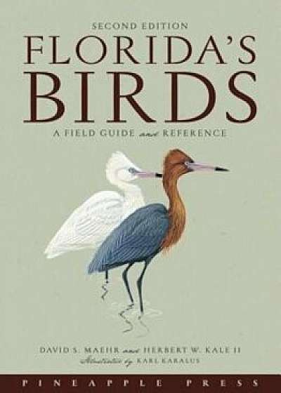 Florida's Birds: A Field Guide and Reference, Paperback/David S. Maehr