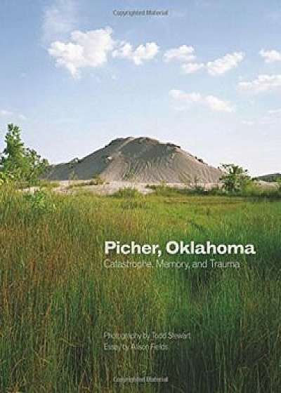 Picher, Oklahoma: Catastrophe, Memory, and Trauma, Hardcover/Todd Stewart
