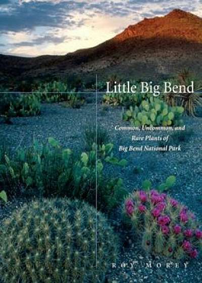 Little Big Bend: Common, Uncommon, and Rare Plants of Big Bend National Park, Paperback/Roy Morey