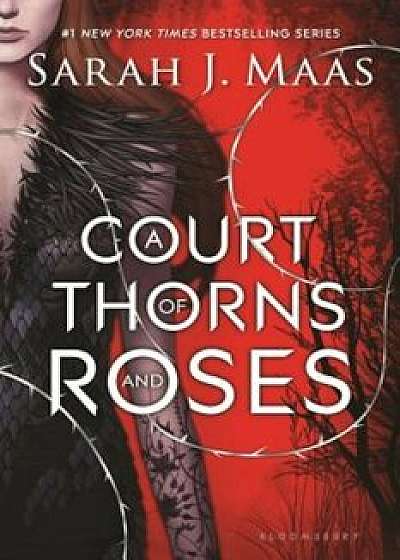 A Court of Thorns and Roses, Paperback/Sarah J. Maas