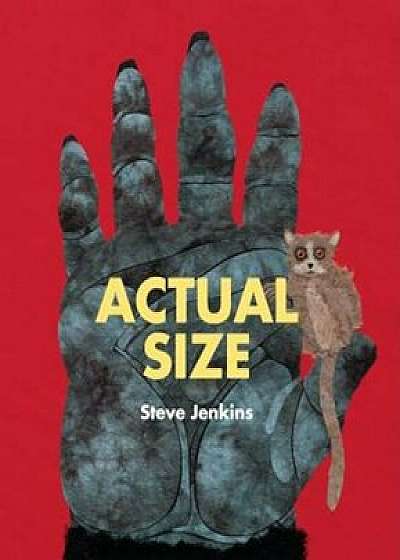 Actual Size, Paperback/Steve Jenkins