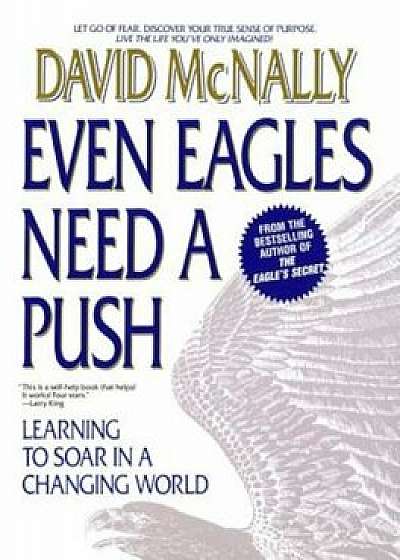 Even Eagles Need a Push: Learning to Soar in a Changing World, Paperback/David McNally