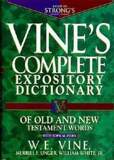 Vine's Expository Dictionary of Old and New Testament Words: Super Value Edition, Hardcover/W. E. Vine