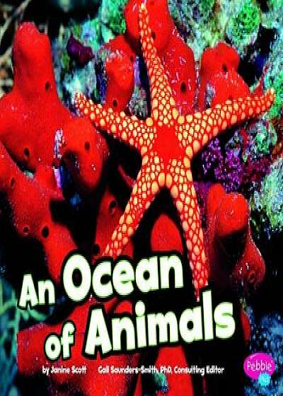An Ocean of Animals, Paperback/Janine Scott