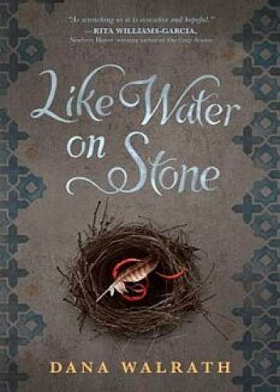 Like Water on Stone, Paperback/Dana Walrath