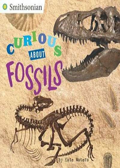 Curious about Fossils, Paperback/Kate Waters