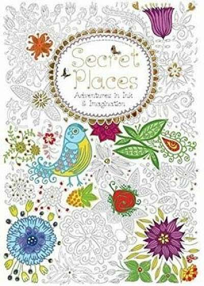 Secret Places: Adventures in Ink and Imagination (Hobbies and Craft)/***