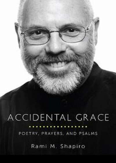 Accidental Grace: Poetry, Prayers, and Psalms, Paperback/Rami Shapiro