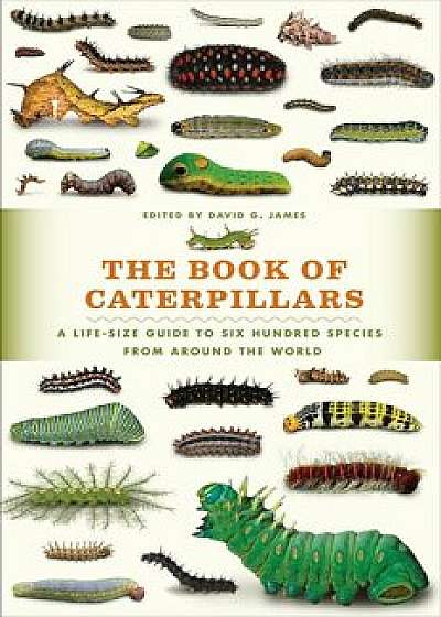 The Book of Caterpillars: A Life-Size Guide to Six Hundred Species from Around the World, Hardcover/David G. James