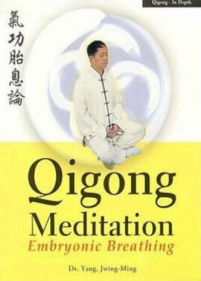 Qigong Meditation: Embryonic Breathing, Paperback/Yang Jwing-Ming