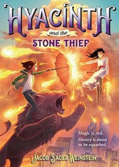 Hyacinth and the Stone Thief, Hardcover/Jacob Sager Weinstein