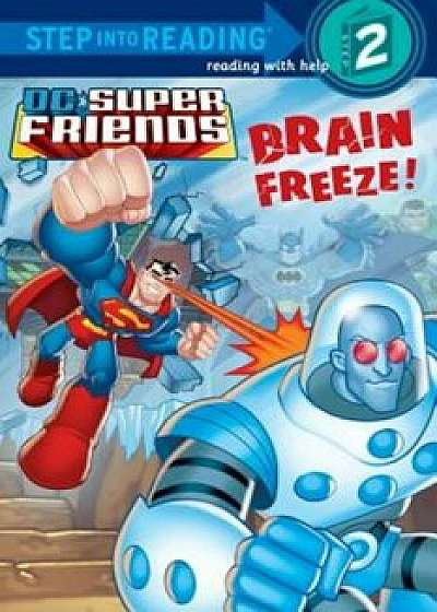 DC Super Friends: Brain Freeze!, Paperback/J. E. Bright