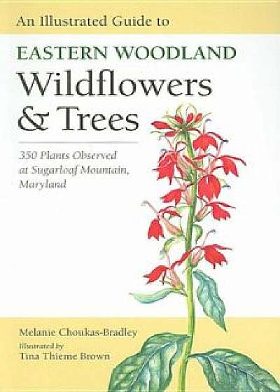 An Illustrated Guide to Eastern Woodland Wildflowers and Trees: 350 Plants Observed at Sugarloaf Mountain, Maryland, Paperback/Melanie Choukas-Bradley