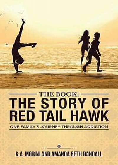 Coperta cărții The Book: The Story of Red Tail Hawk: One Family's Journey Through Addiction, Paperback/K. a. Morini