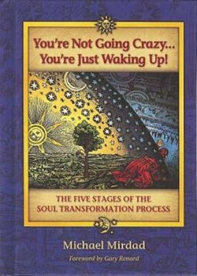 You're Not Going Crazy... You're Just Waking Up!: The Five Stages of the Soul Transformation Process, Hardcover/Michael Mirdad