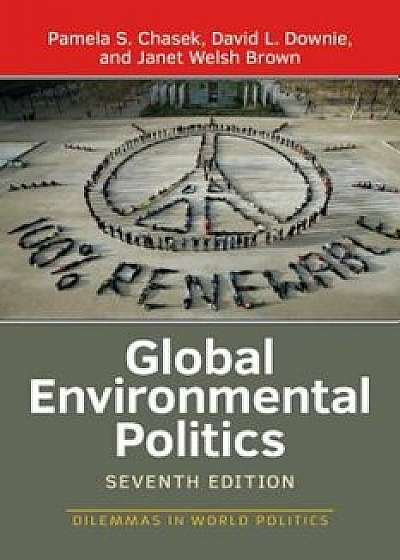 Global Environmental Politics (Seventh Edition, Seventh), Paperback/Pamela S. Chasek