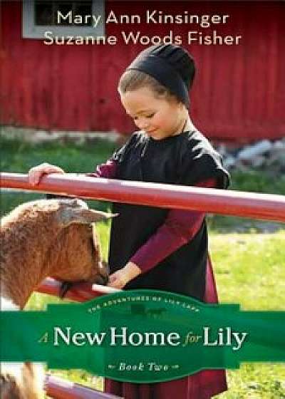 A New Home for Lily, Paperback/Suzanne Woods Fisher
