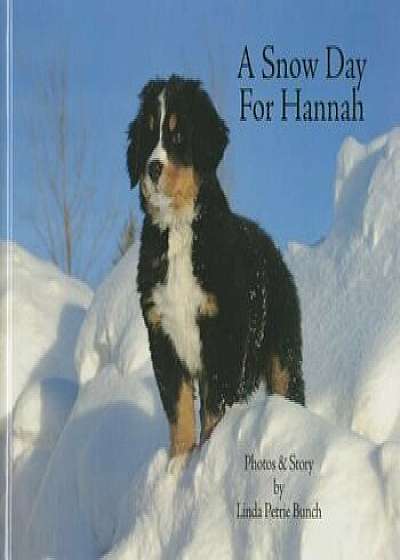 A Snow Day for Hannah, Hardcover/Linda Petrie Bunch