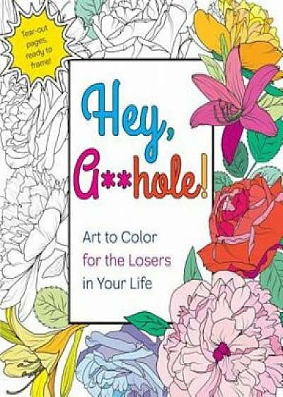 Hey, Ahole: Art to Color for the Losers in Your Life, Paperback/Caitlin Peterson