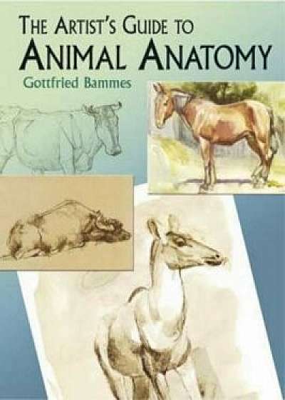 The Artist's Guide to Animal Anatomy, Paperback/Gottfried Bammes