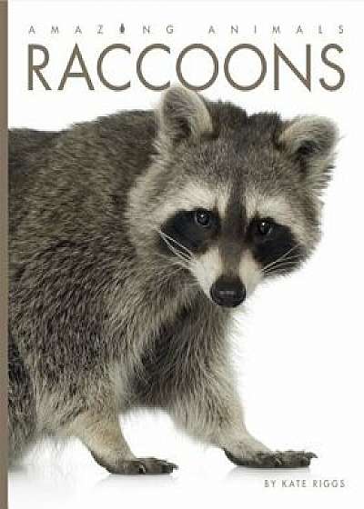 Raccoons, Paperback/Kate Riggs
