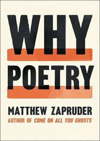 Why Poetry, Paperback/Matthew Zapruder