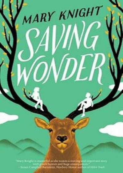 Saving Wonder, Hardcover/Mary Knight