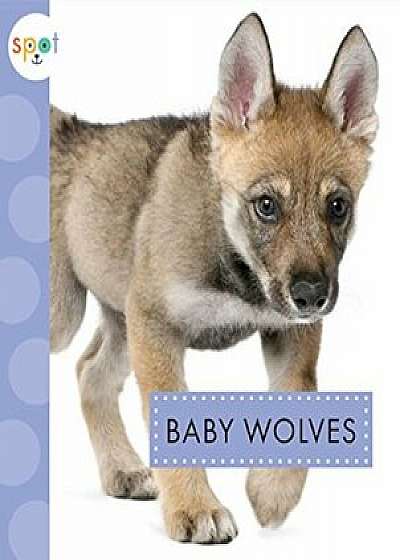 Baby Wolves, Paperback/K. C. Kelley