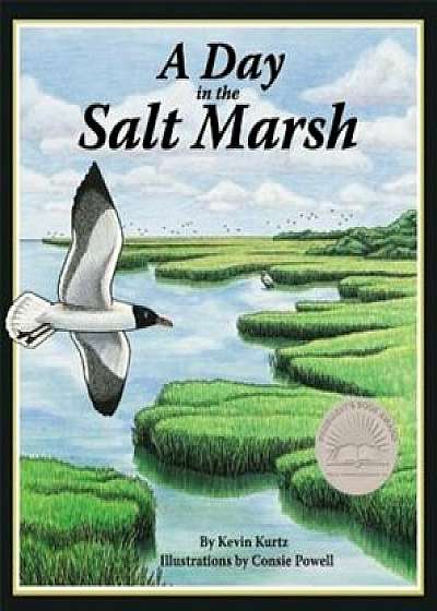 A Day in the Salt Marsh, Paperback/Kevin Kurtz