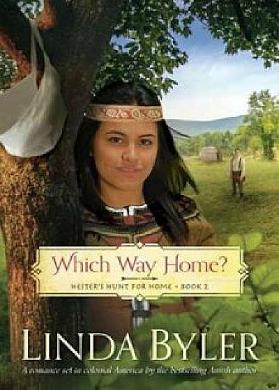 Which Way Home': Hester's Hunt for Home, Book Two, Paperback/Linda Byler
