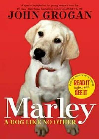 Marley: A Dog Like No Other, Paperback/John Grogan