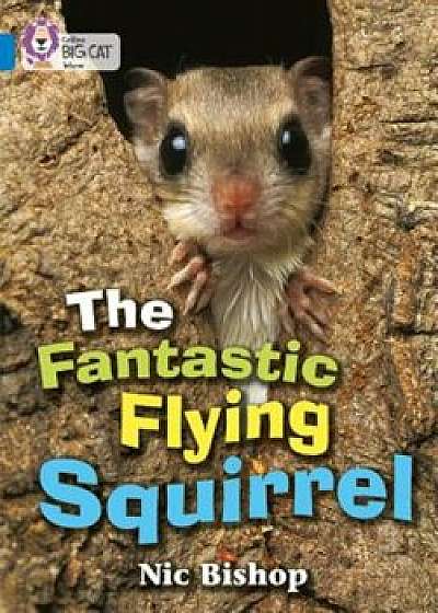 The Fantastic Flying Squirrel, Paperback/Nic Bishop