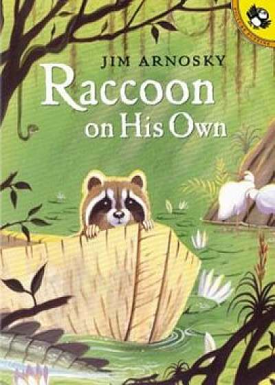 Raccoon on His Own, Paperback/Jim Arnosky
