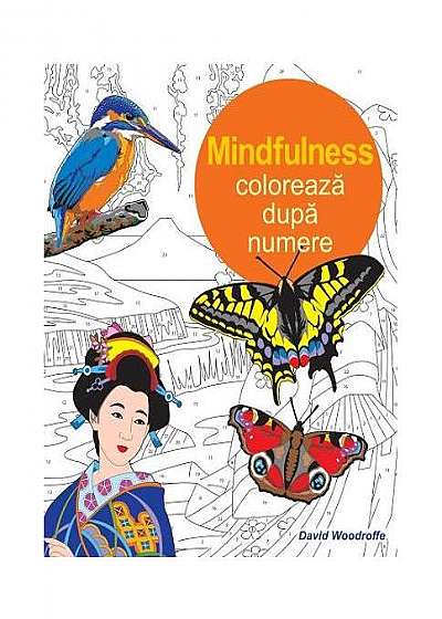 Mindfulness. Colorează după numere