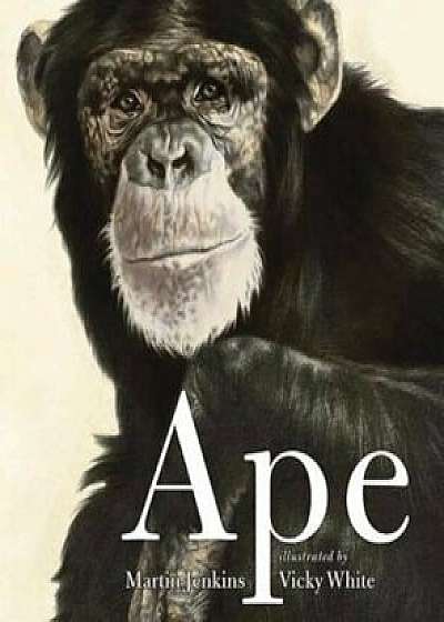 Ape, Paperback/Martin Jenkins