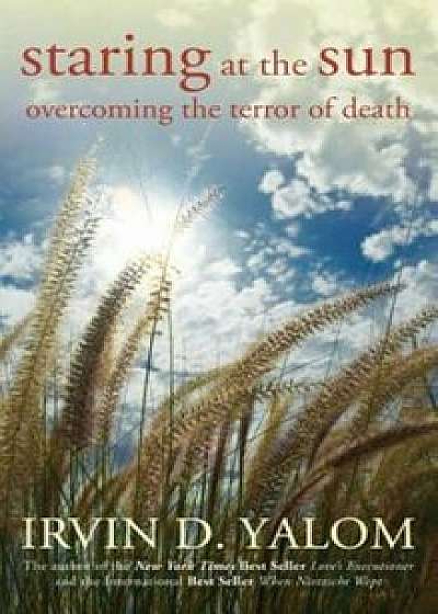 Staring at the Sun: Overcoming the Terror of Death, Paperback/Irvin D. Yalom