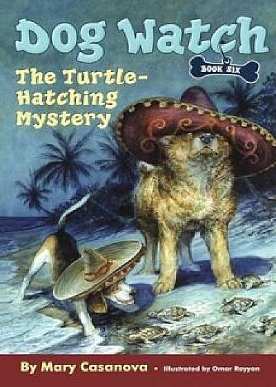 The Turtle-Hatching Mystery, Paperback/Mary Casanova