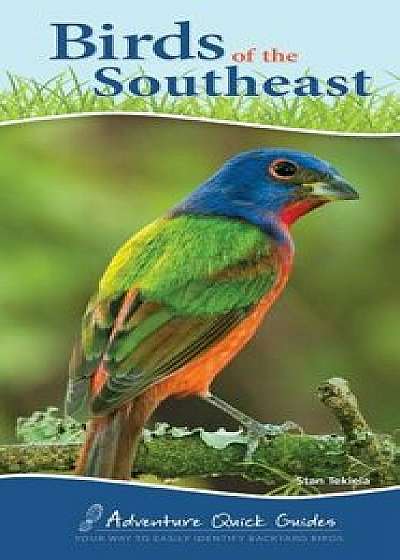 Birds of the Southeast, Paperback/Stan Tekiela
