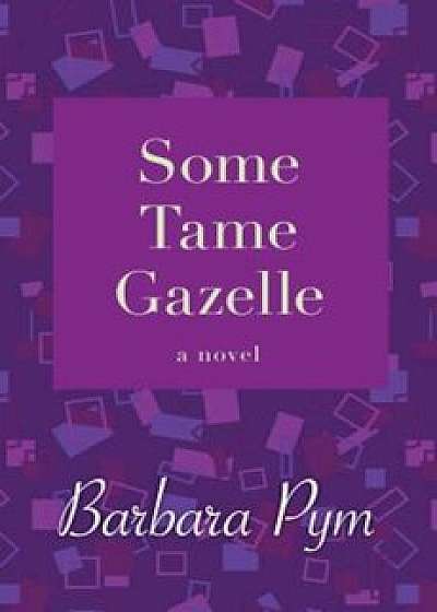 Some Tame Gazelle, Paperback/Barbara Pym