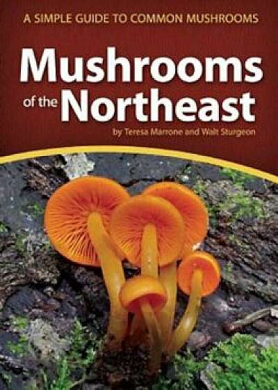 Mushrooms of the Northeast: A Simple Guide to Common Mushrooms, Paperback/Teresa Marrone
