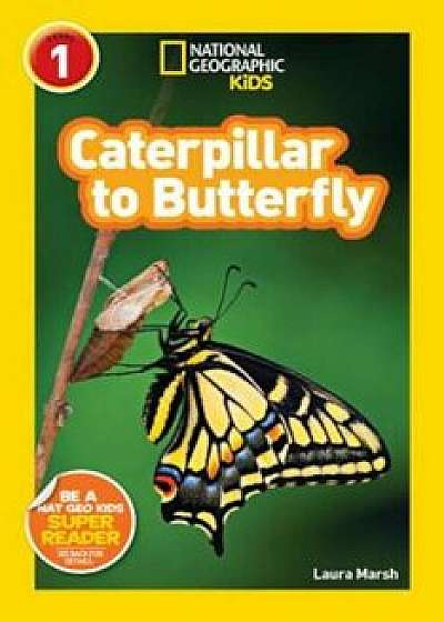 Caterpillar to Butterfly, Paperback/Laura Marsh