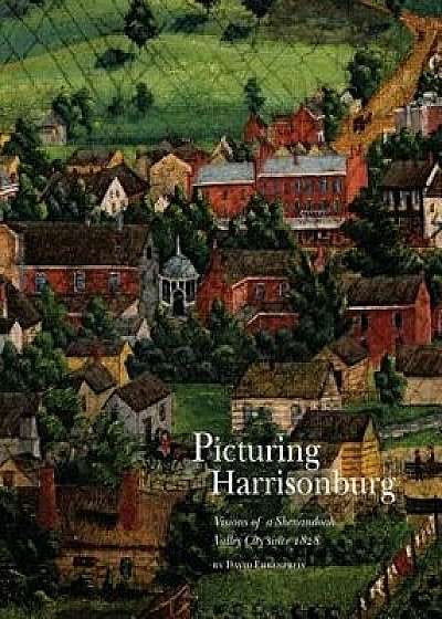 Picturing Harrisonburg: Visions of a Shenandoah Valley City Since 1828, Hardcover/David Ehrenpreis