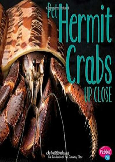 Pet Hermit Crabs Up Close, Paperback/Gail Saunders-Smith