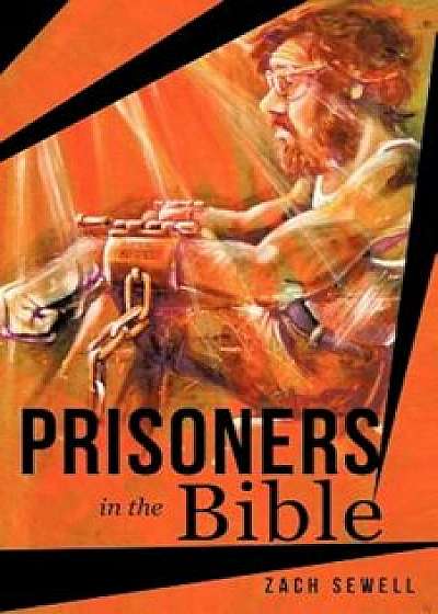 Prisoners in the Bible, Paperback/Zach Sewell