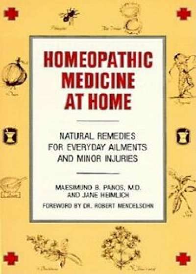 Homeopathic Medicine at Home: Natural Remedies for Everyday Ailments and Minor Injuries, Paperback/Maesimund B. Panos
