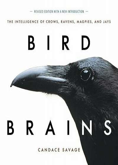 Bird Brains: The Intelligence of Crows, Ravens, Magpies, and Jays, Paperback/Candace Savage