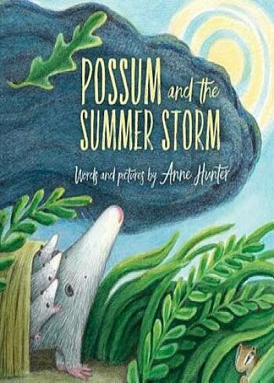 Possum and the Summer Storm, Hardcover/Anne Hunter
