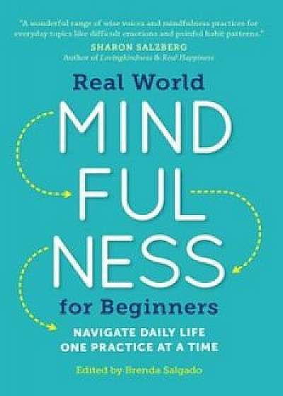 Real World Mindfulness for Beginners: Navigate Daily Life One Practice at a Time, Paperback/Brenda Salgado