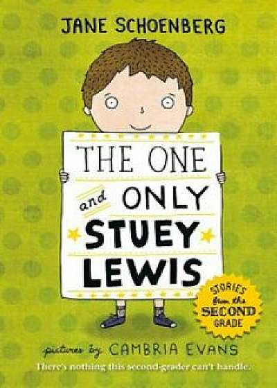 The One and Only Stuey Lewis: Stories from the Second Grade, Paperback/Jane Schoenberg